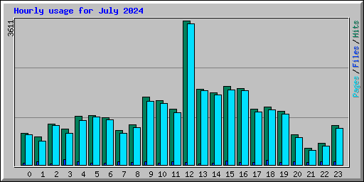 Hourly usage for July 2024