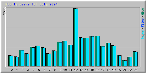 Hourly usage for July 2024