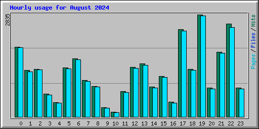 Hourly usage for August 2024